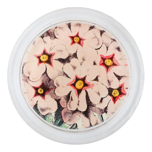Pink Primula 4