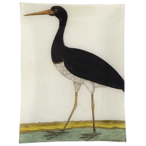 #7 Black Stork 10 x 13" Rectangle Tray