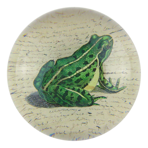 Frog Prince Dome Paperweight