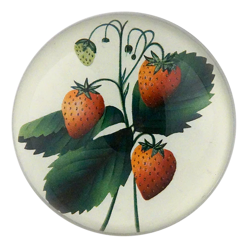 Strawberries Dome Paperweight