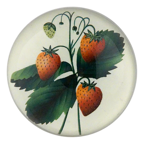 Strawberries Dome Paperweight