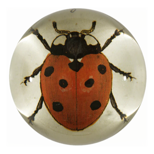 Red Ladybug Dome Paperweight