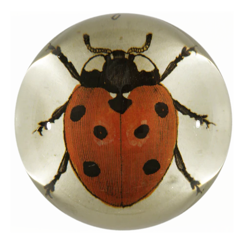 Red Ladybug Dome Paperweight