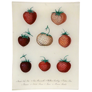 Strawberry Chart 8" x 10.5" Rectangle Tray