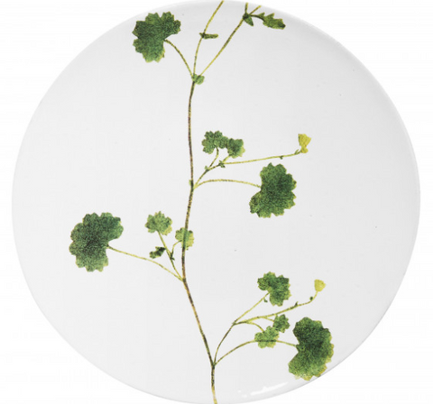 Astier x John Derian Medium Othona Plate