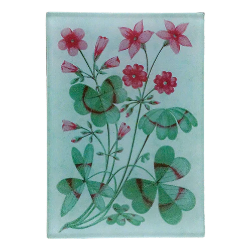 Clover Green Tiny Rectangle Tray 3.5" x 5"