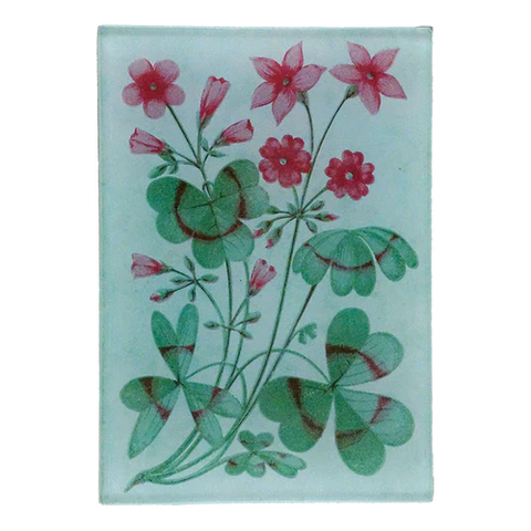 Clover Green Tiny Rectangle Tray 3.5" x 5"