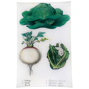 Kitchen Vegetables 9x14" Tray