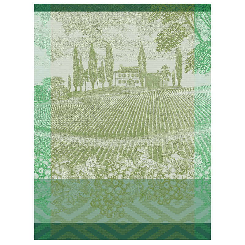Le magnolia du Clos de la Vigne