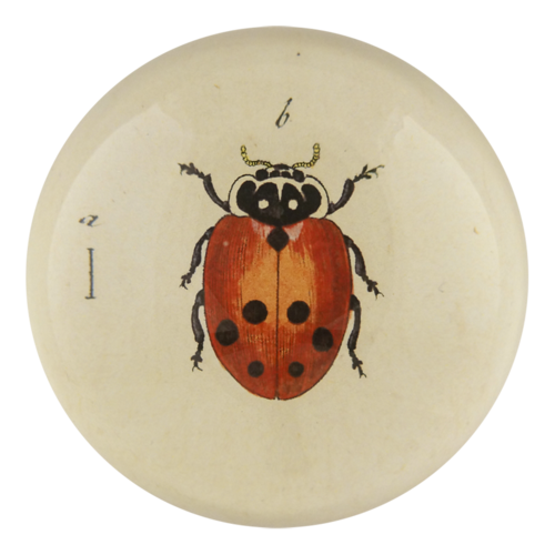 Spotty Baby ladybug Dome Paperweight