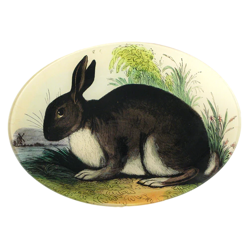 Rabbit 7x10" Oval Plate