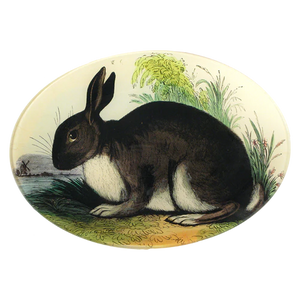 Rabbit 7x10" Oval Plate