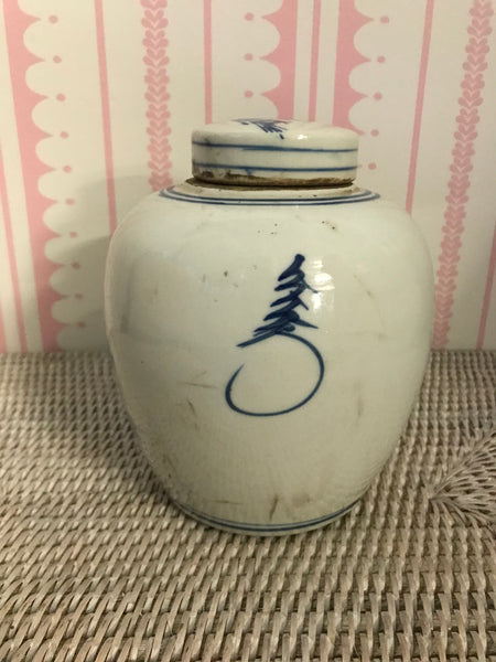 16cmH Blue & White Ginger Jar Style C